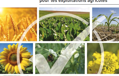 OSez L'Agro Écologie : Plateforme D'échanges Pour La Mise En Pratique ...