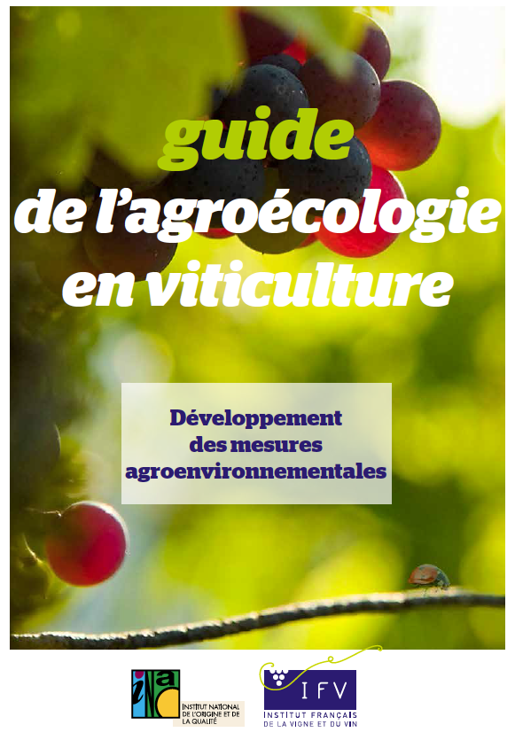 OSez L'AgroÉcologie : Guide De L'agroécologie En Viticulture