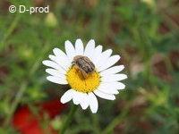 Une biodiversité préservée