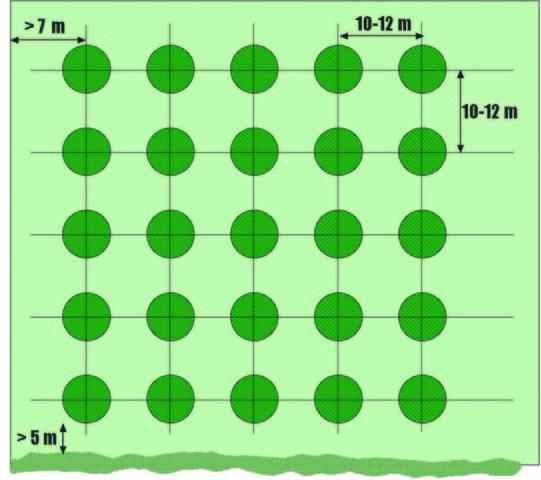 La plantation en carré est la plus commune.