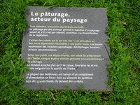 pâturage, un acteur du paysage