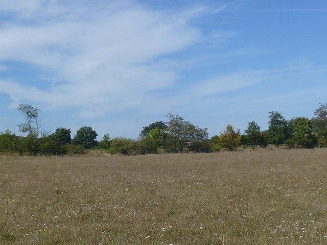 Prairies Temporaires Mélangées