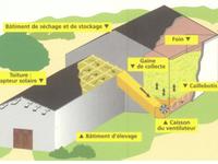 Schéma de fonctionnement d'un séchoir solaire de fourrage