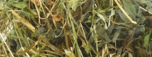Foin de prairies temporaires mélangées (10 espèces)