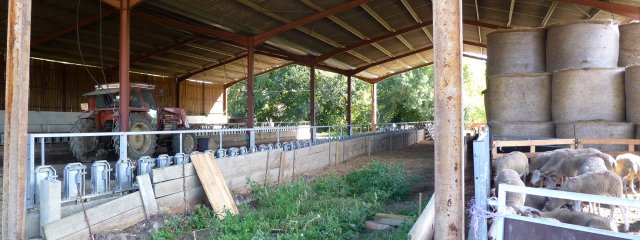 Bergerie et stockage du fourrage