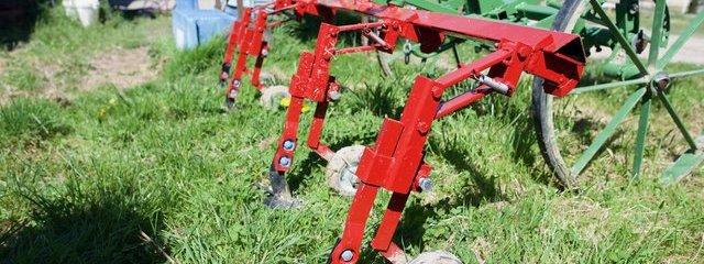 Neobucher autoconstruit