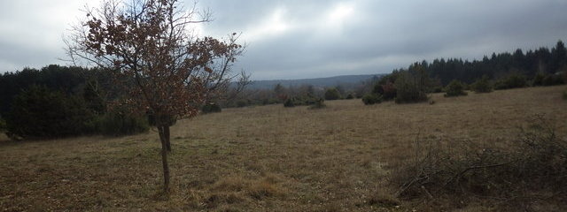 Landes