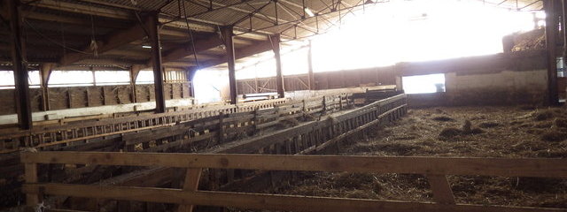 Bergerie des brebis