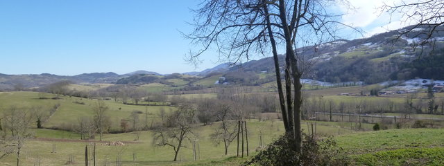 Panorama 