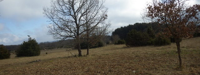 Landes
