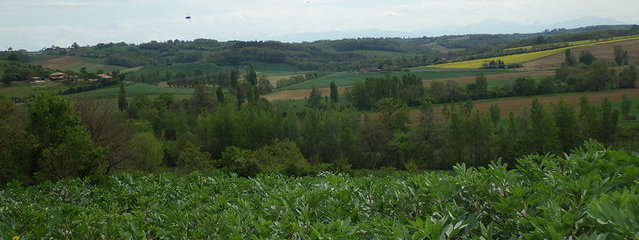 Panorama