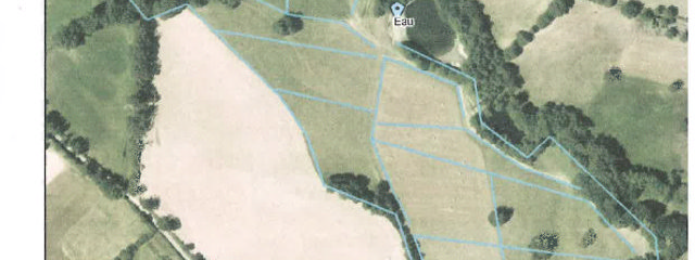 Dessin de pâturage prairies permanentes