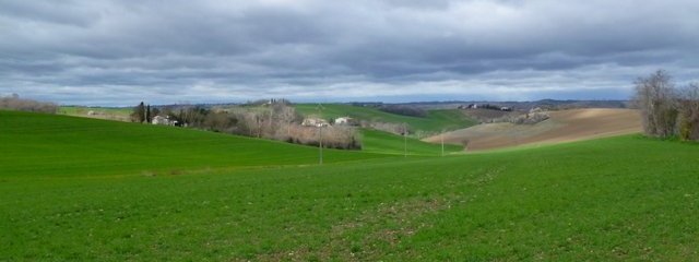 Panorama