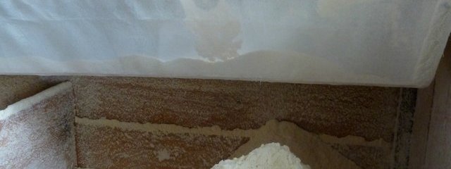 Farine de blé