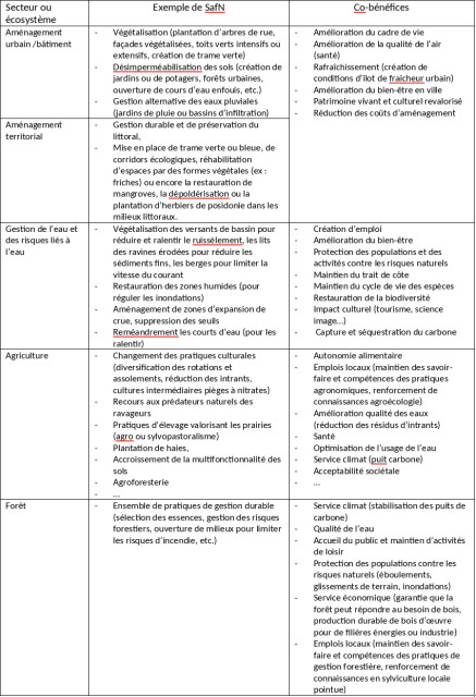 Exemples de Sfn et de cobénéfices par grand secteur
