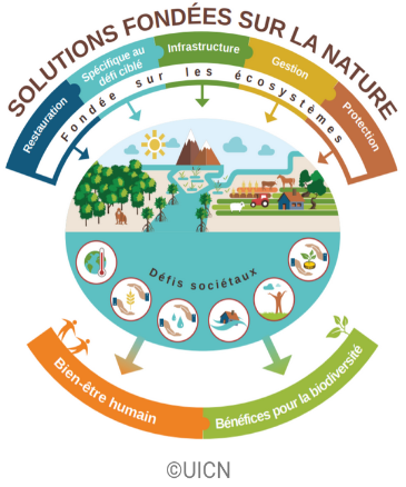 Illustration du concept des Solutions fondées sur la Nature