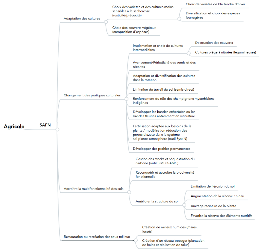 Recensement et typologie des principaux types de SaFN en milieu agricole 