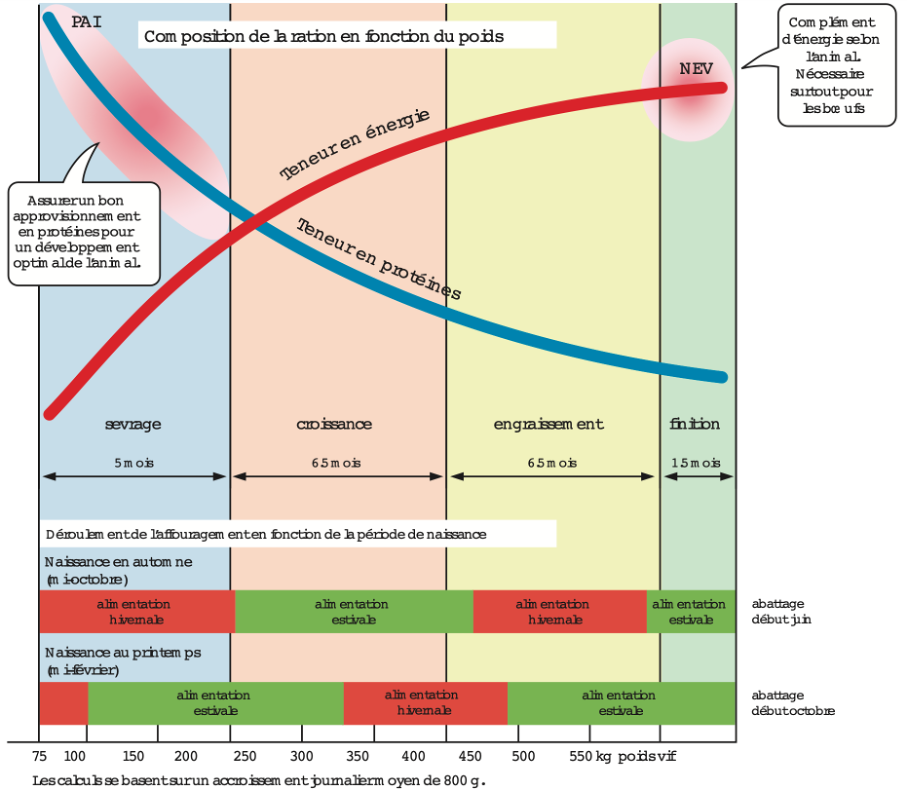 Alimentation des broutards selon la période de vêlage (source : FiBL)