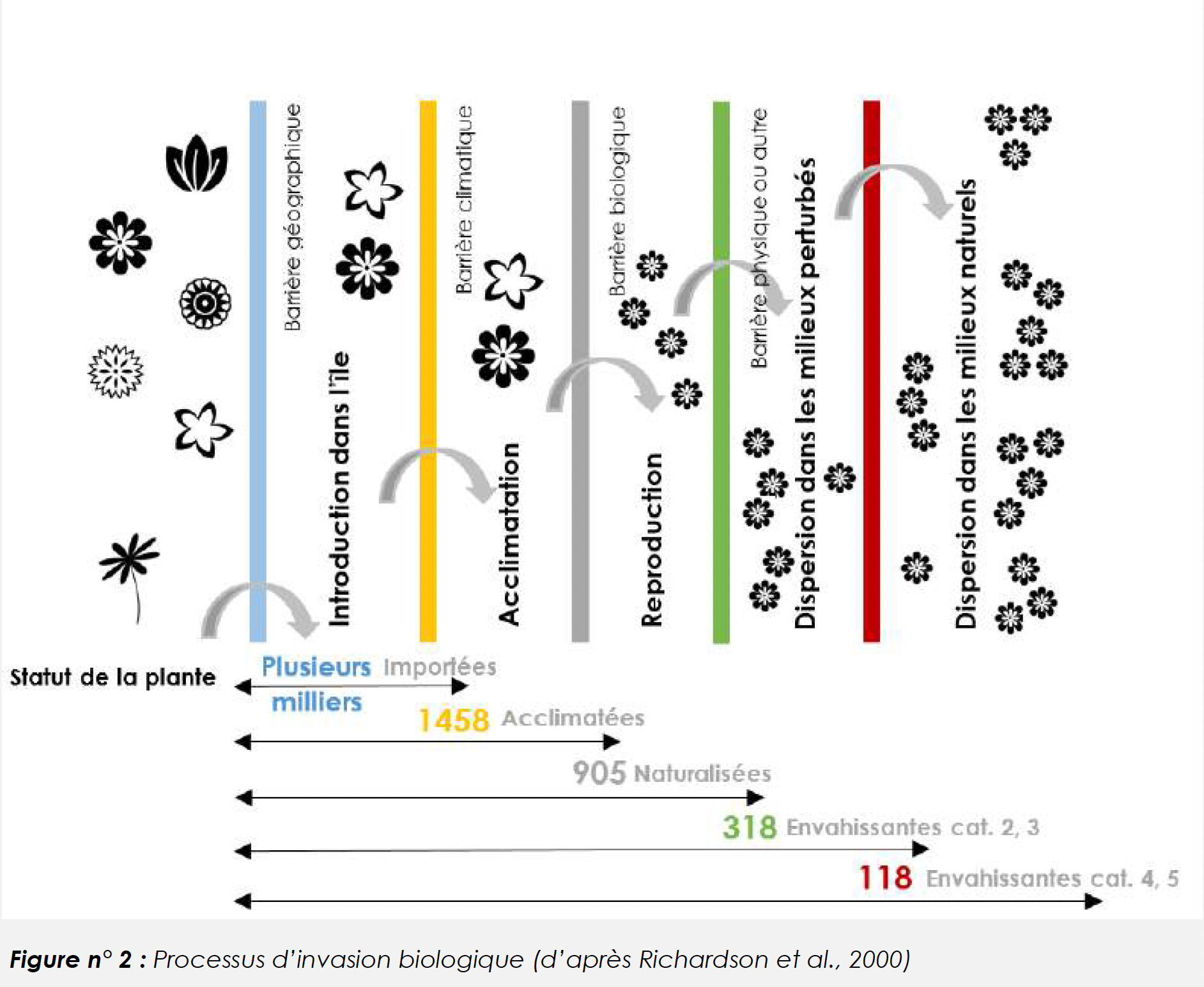 Processus d'invasion biologique