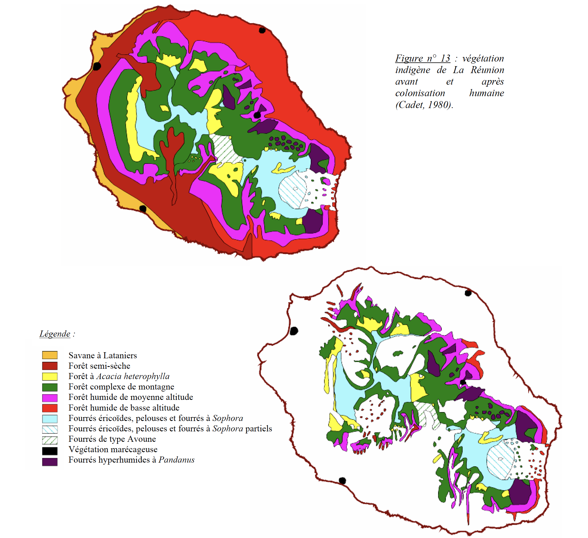Carte de la végétation indigène de La Réunion avant et après colonisation humaine