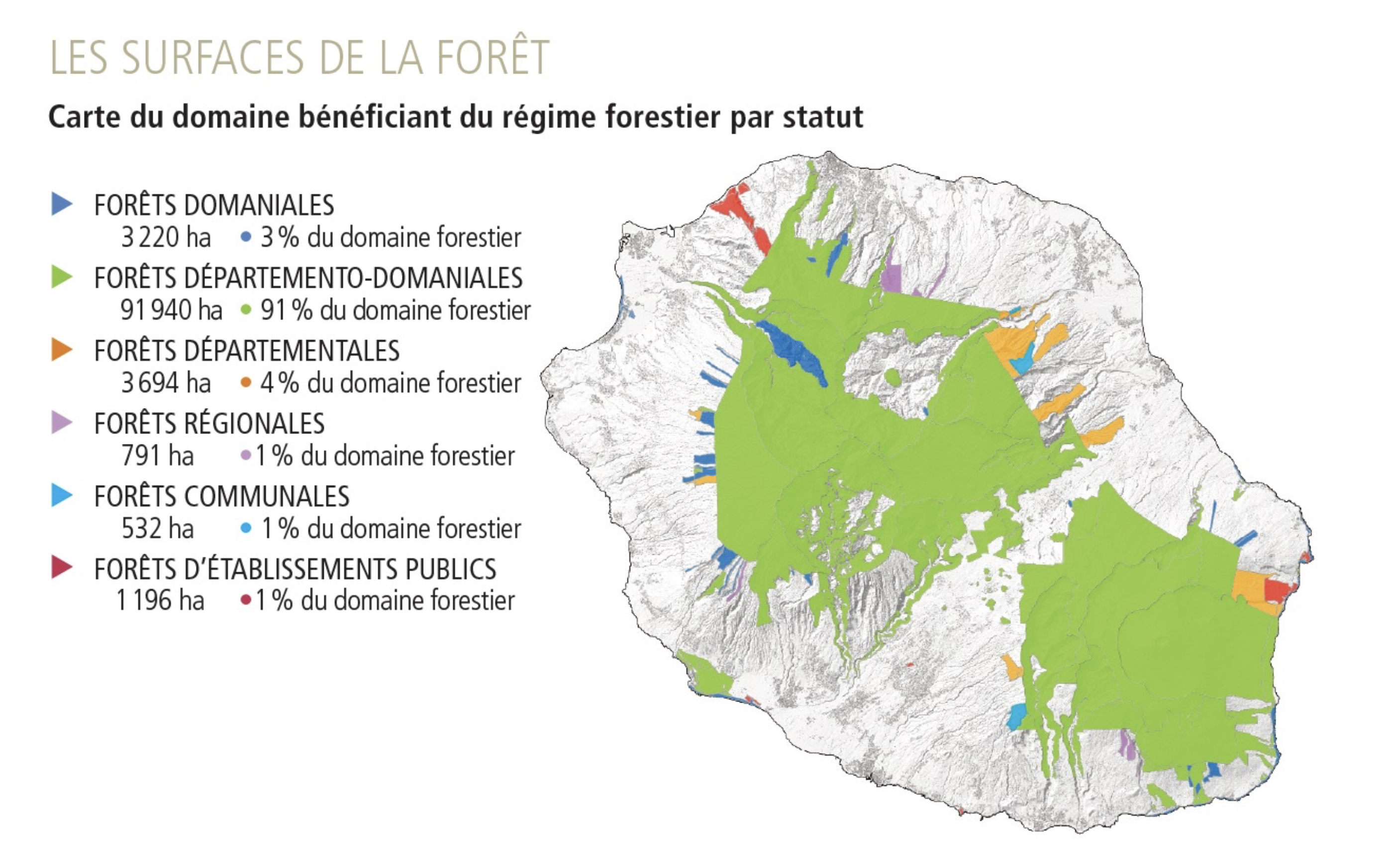 Carte des surfaces de la forêt de La Réunion