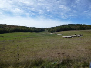 Photo de l'exploitation d'André et Agnès Delpech