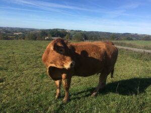 Photo de l'exploitation de Jean-Baptiste Carrié