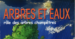 Couverture de la publication "Arbres et eaux : rôle des arbres champêtres"