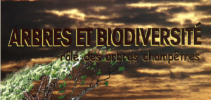 Couverture de la brochure "Arbres et biodiversité : le rôle des arbres champêtres"