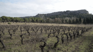 Exploitation de Christophe Bousquet