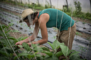 GAEC La ferme du Matet