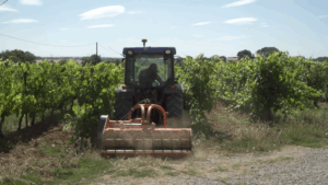 Domaine de la Massole