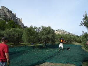 Exploitation de Bruno Dunan