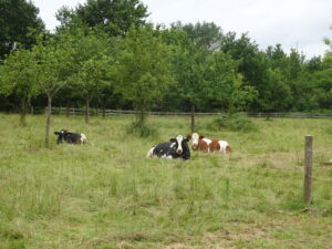 Photo exploitation de Gilles Simonneaux