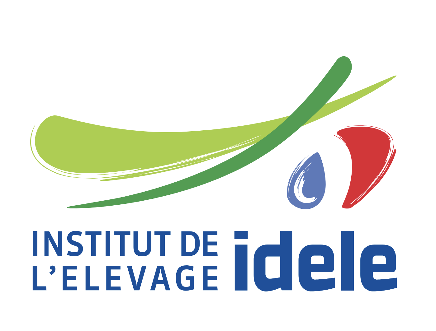 Logo IDELE
