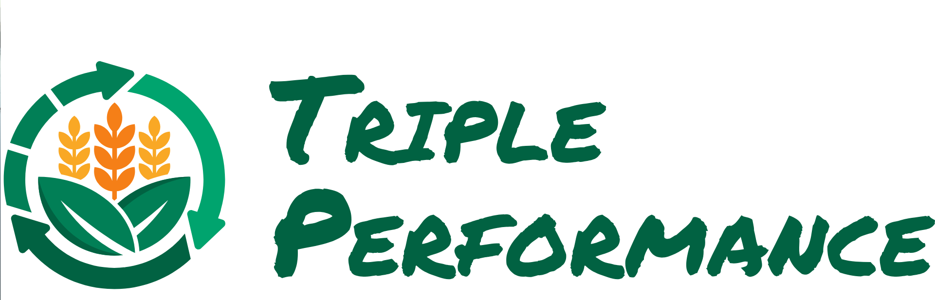 Logo triple performance
