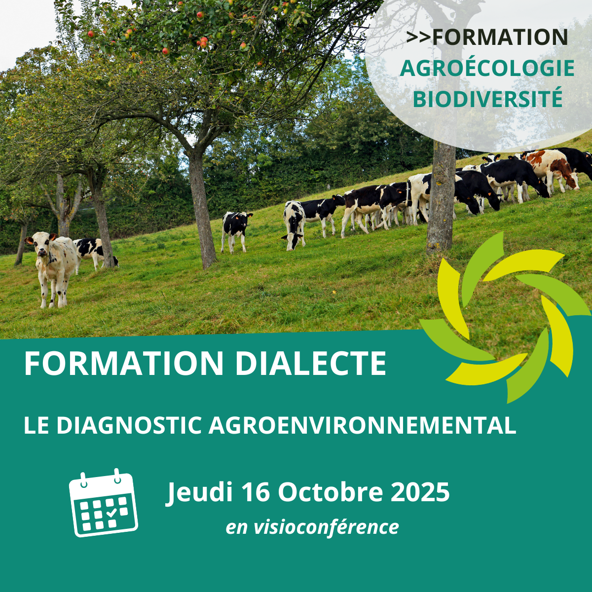 Formation DIALECTE 2025