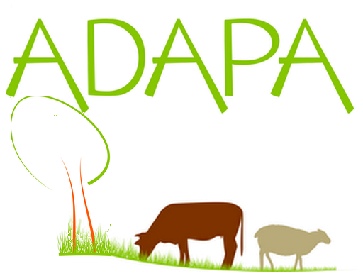 Logo ADAPA