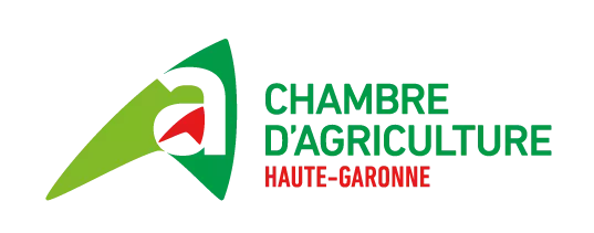 logo CA31