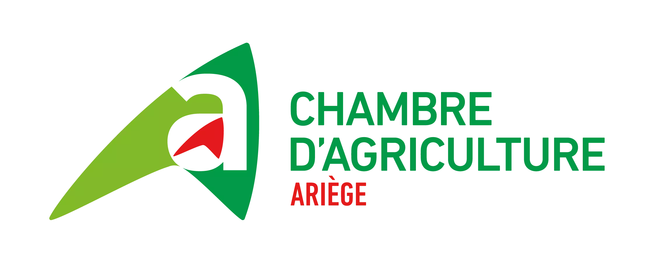 Logo CA09