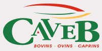 CAVEB