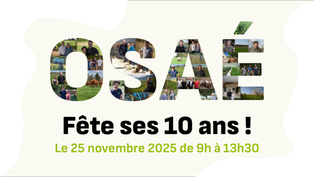 Image des 10 ans d'OSAE
