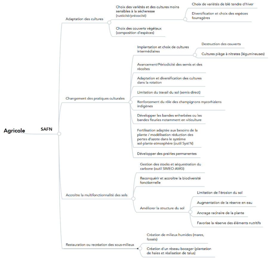 Recensement et typologie des principaux types de SaFN en milieu agricole