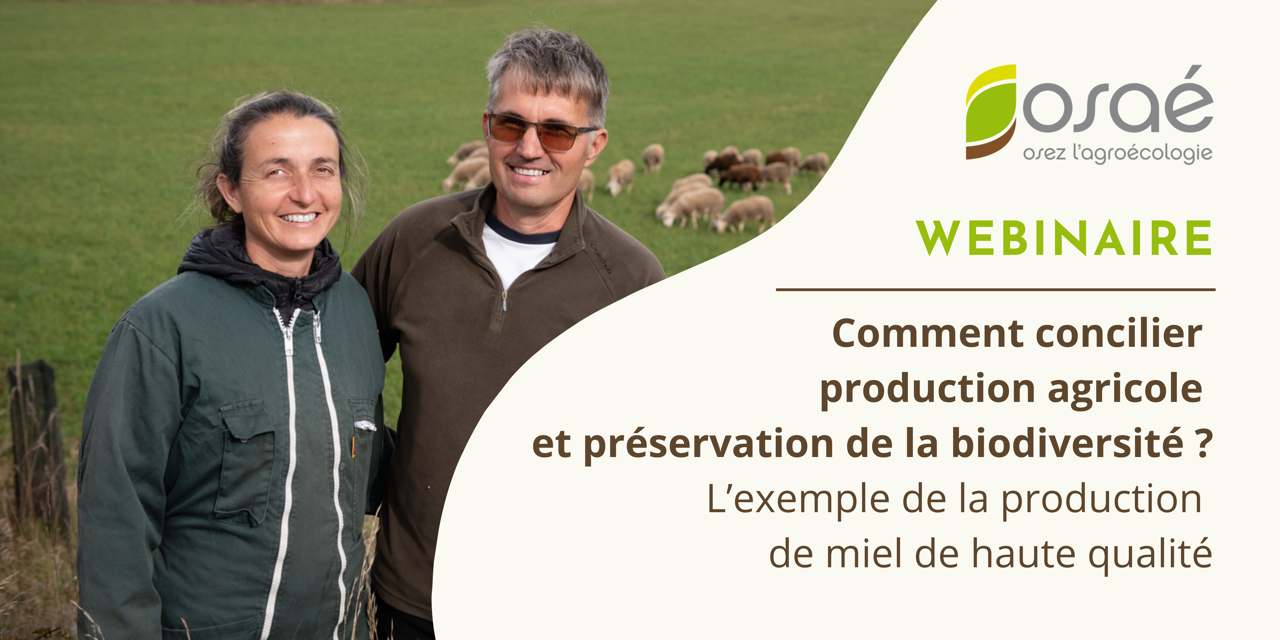 Image de une du webinaire sur l'apiculture ou interviennet, Philippe Clément et Hervé Picq