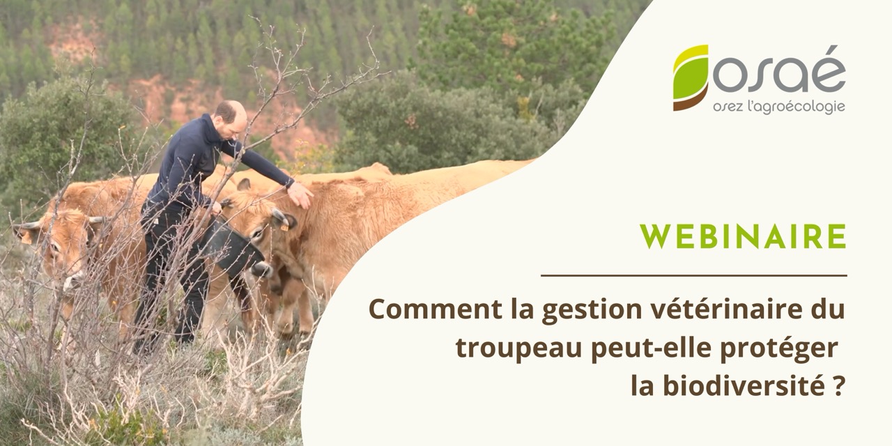 Retour sur le webinaire : Comment la gestion vétérinaire du troupeau peut-elle protéger la biodiversité ?
