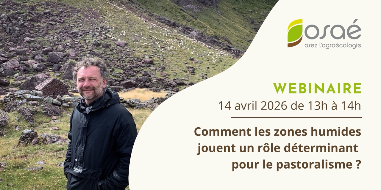 Webinaire zones humides