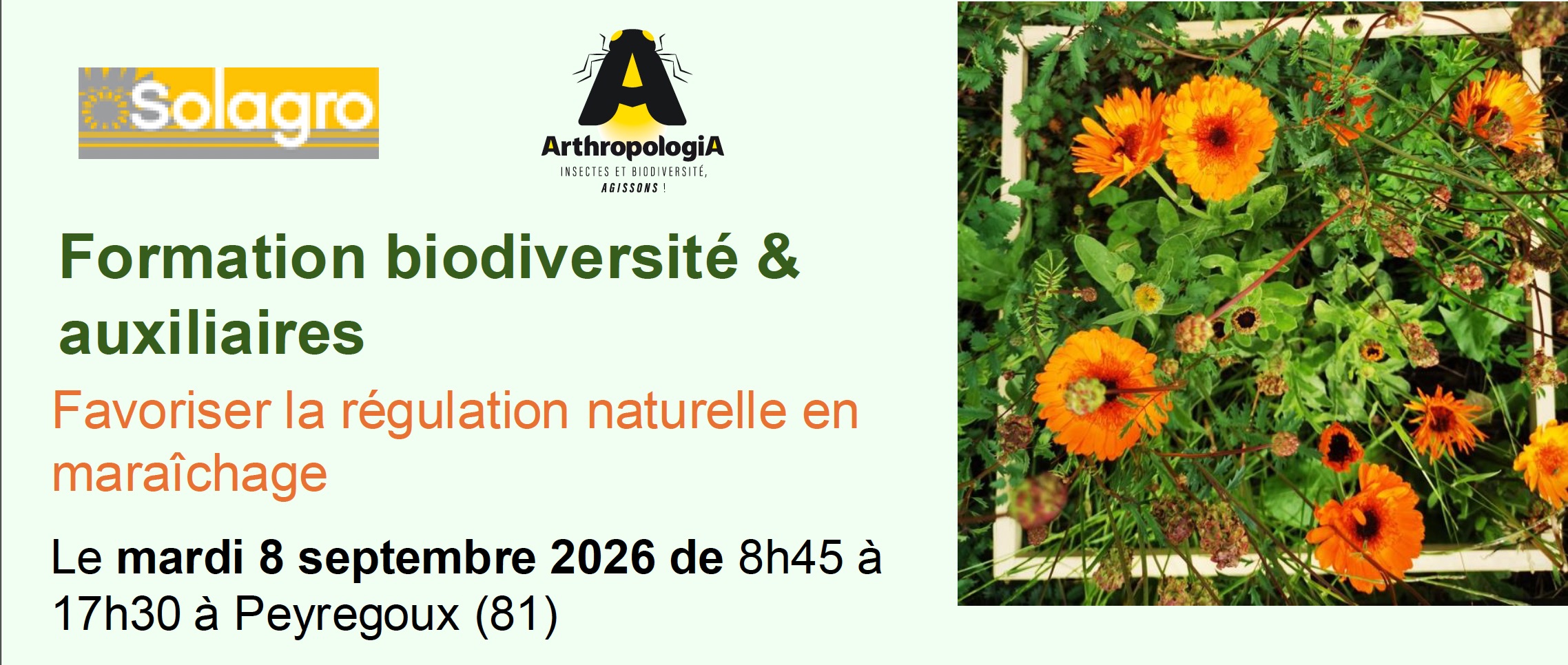 Formation biodiversité Solagro Arthropologia