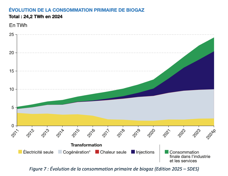 Schéma de l'évolution de la production de biogaz