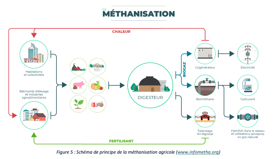 Schéma de la production de biogaz via la méthanisation