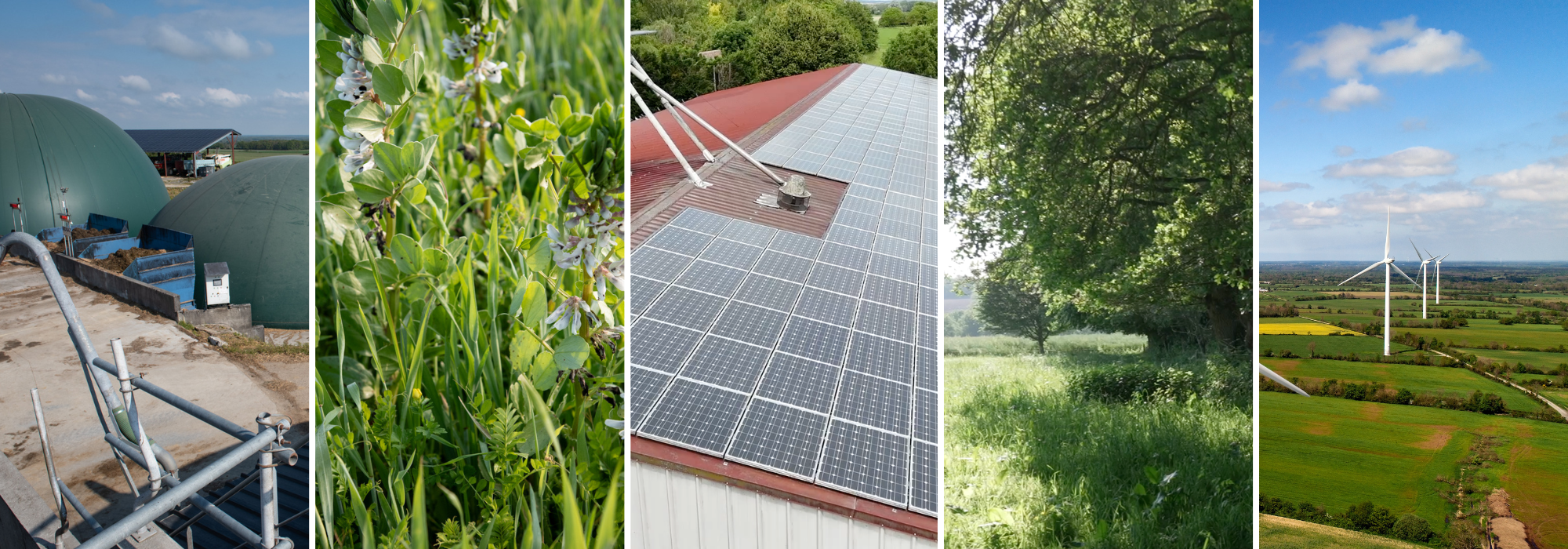 Images d'énergies renouvelables en agriculture (méthanisation, biogaz, biomasse, solaire photovoltaïque, bois energie, éolien)